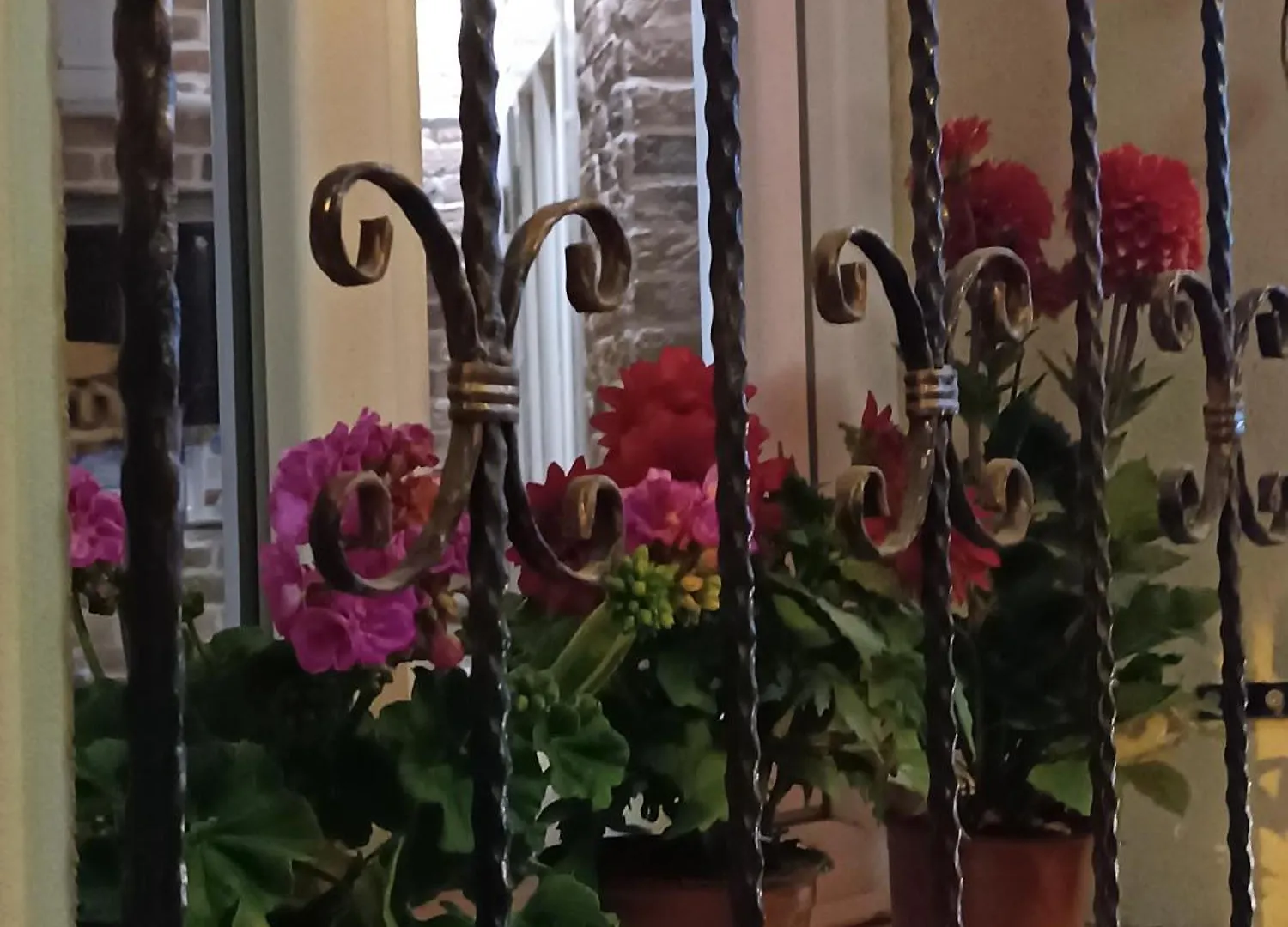 Family Istanbul Hotel